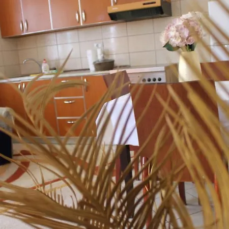 公寓 Bledi's Cozy In New Blvd 地拉那