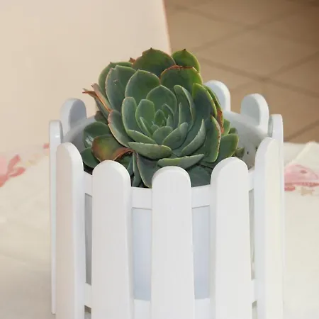 Bledi's Cozy In New Blvd