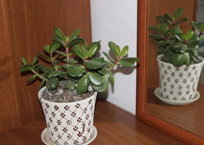 Apartamento Bledi's Cozy In New Blvd