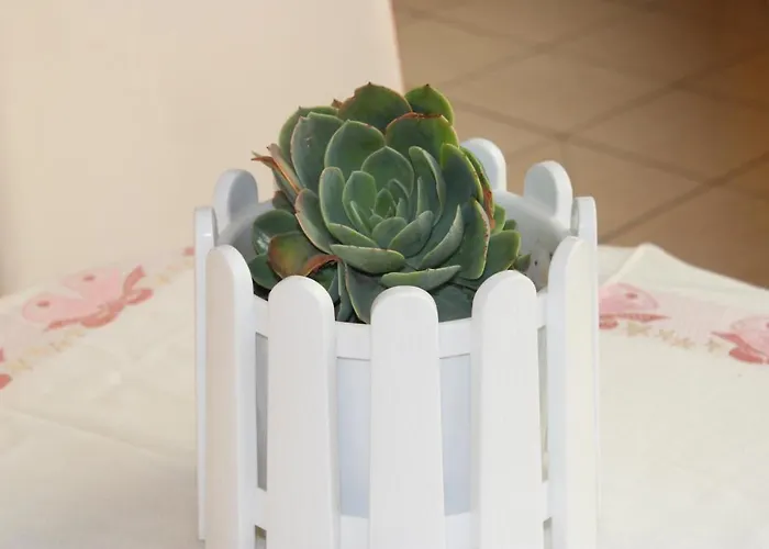 Bledi's Cozy In New Blvd